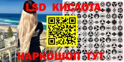 индика Кингисепп