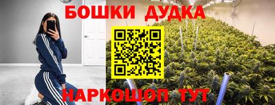 гидра Кинель