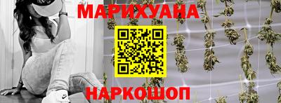 индика Кингисепп