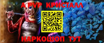 индика Кингисепп