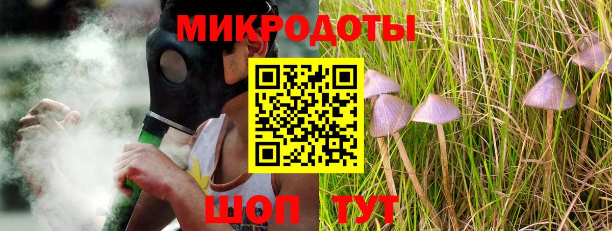 Псилоцибиновые грибы Psilocybine cubensis Кстово