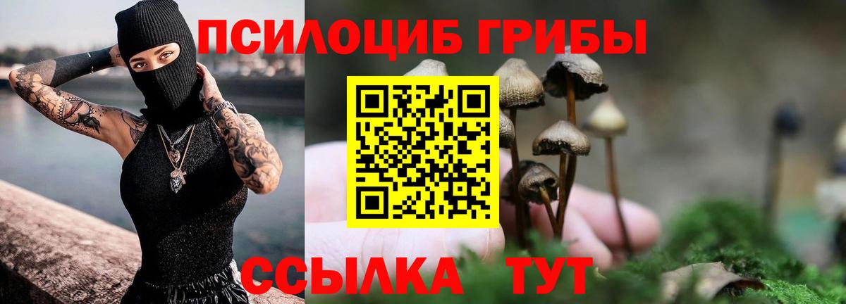 Псилоцибиновые грибы мухоморы  Псилоцибиновые грибы Cubensis  Вход с VPN  как найти закладки  Кстово 